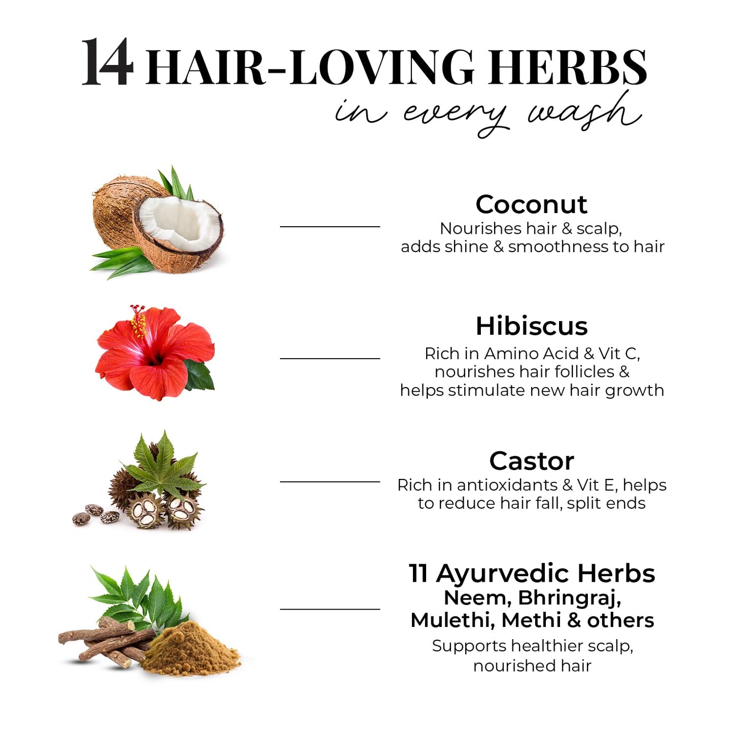 Just Herbs Castor and Black Onion Seed Sulfate Free Shampoo 200 ml