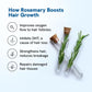 Be Bodywise 3% Redensyl & Rosemary Hair Growth Serum (Roll On), 25 ml, Pack of 2