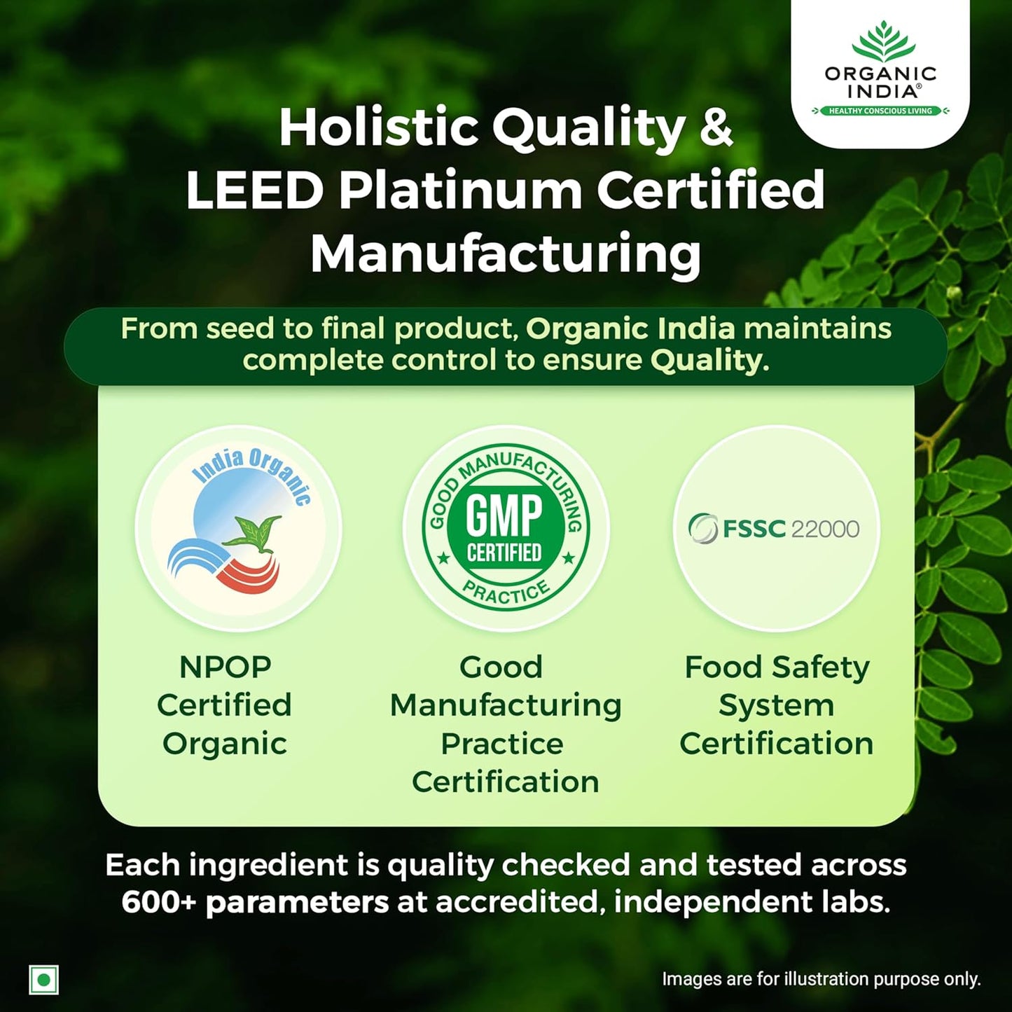 A TATA Product - Organic India Isabgol Whole Psyllium Husk Powder - 100g, With Dietary Fiber, Supports Gut Health & Digestive System, Gluten Free, Non-GMO Project Verified, NPOP & USDA Certified