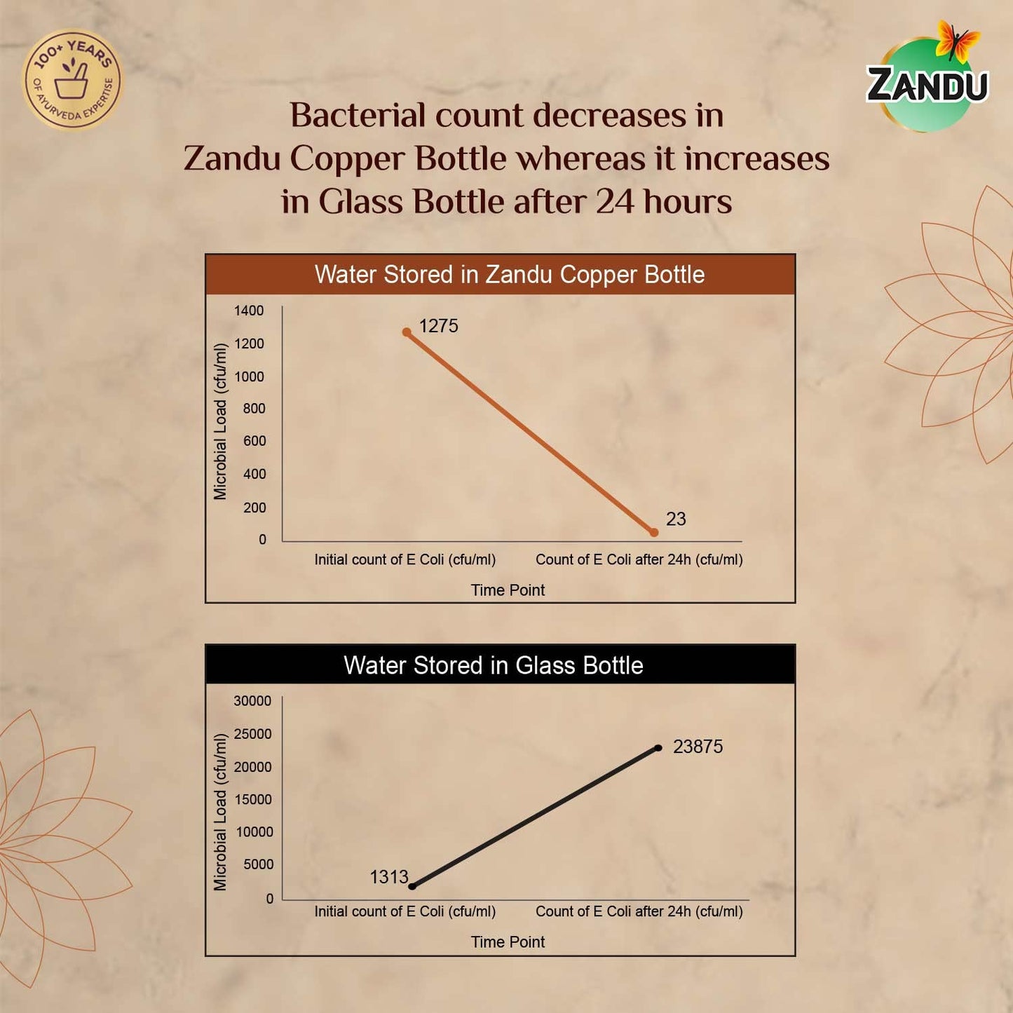 Zandu Copper Bottle 950 ml