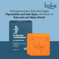 BAKE 2% Kojic Acid Scrub Treatment Soap (200 Gms) with Alpha Arbutin, Lactic Acid & Niacinamide | For Pigmentation, Dark Spots, Tan Removal, Brightens Underarms | Soap for Women & Men | 100g x 2