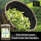 Online Quality Store Tulsi Leaves Herbal Tea, Pure Dried Leaves, 50 gm
