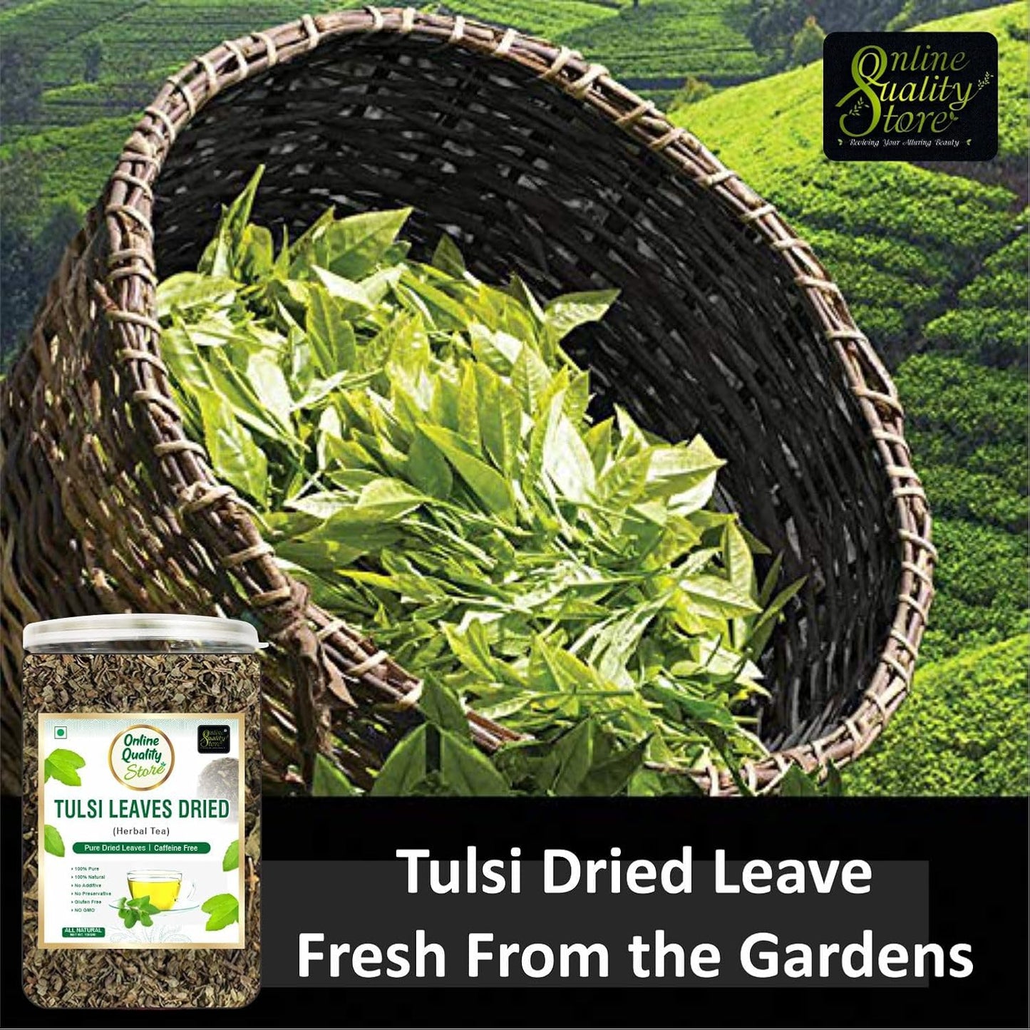 Online Quality Store Tulsi Leaves Herbal Tea, Pure Dried Leaves, 50 gm