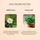 Just Herbs Nourishing Hair Cream 100 gm