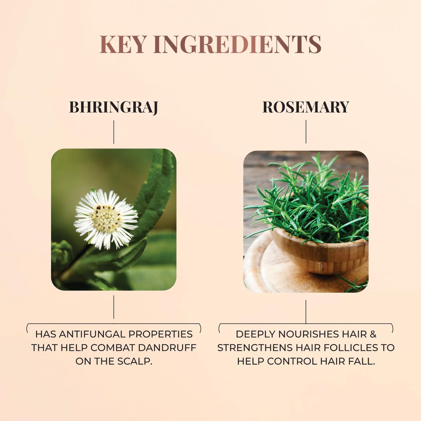 Just Herbs Nourishing Hair Cream 100 gm