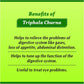 Baidyanath Asli Ayurved Triphala Churna 500 g (Pack of 2)