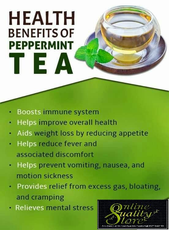Online Quality Store Natural Mint Herbal Tea, 100 gm