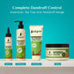 Pilgrim Australian Tea Tree Anti-Dandruff Unscented Conditioner For All Hair Type 200 millilitre | Smoothens Strands & Detangles Hair | Fights and Prevents Dandruff | For Men & Women (Pack of 1)
