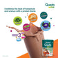 Himalaya Quista Active 200G Chocolate Flavour, Powder