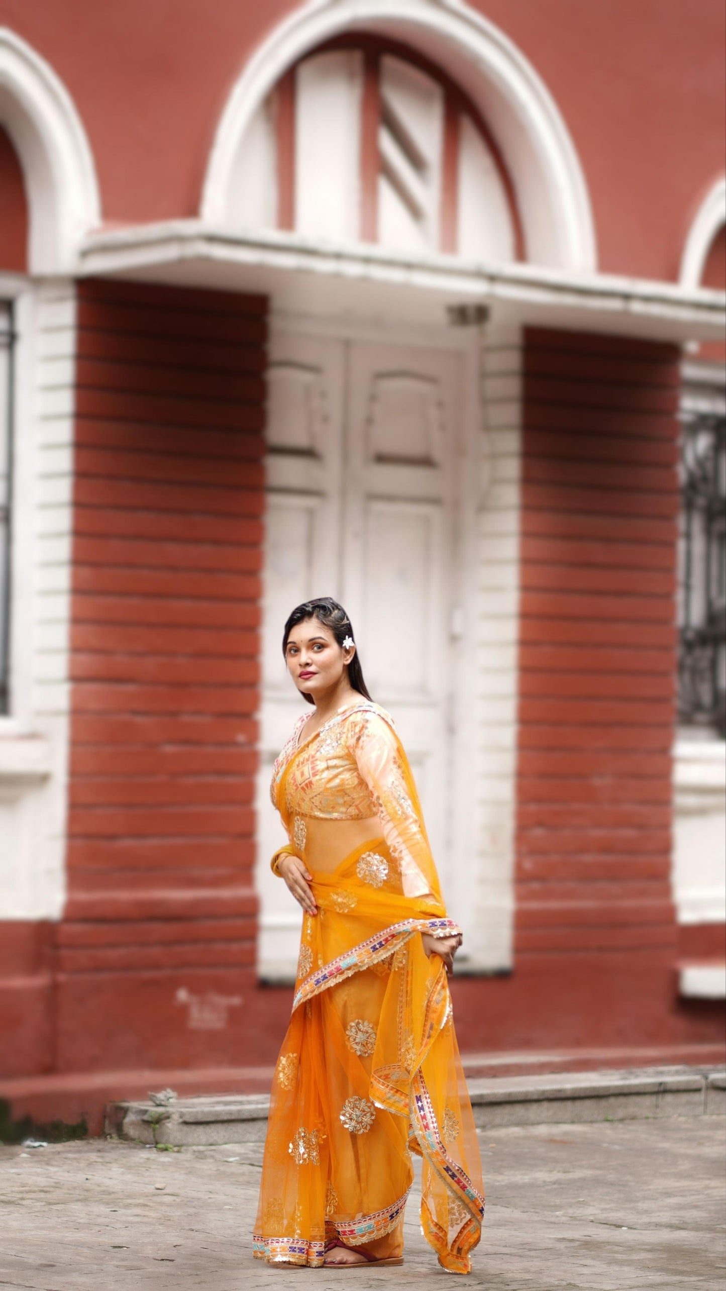 Net Saree