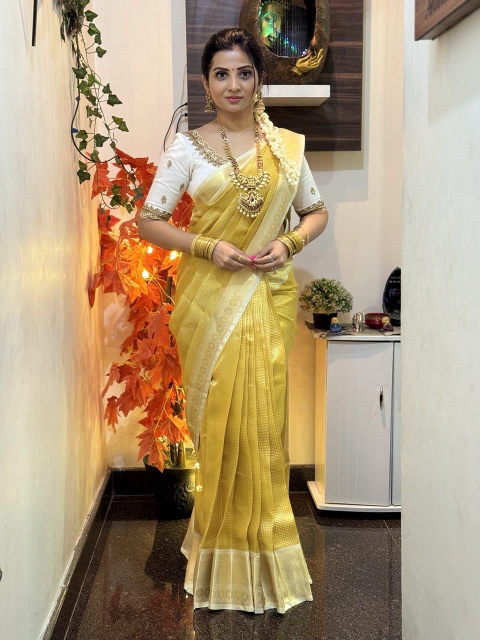 Tissue Soft Saree