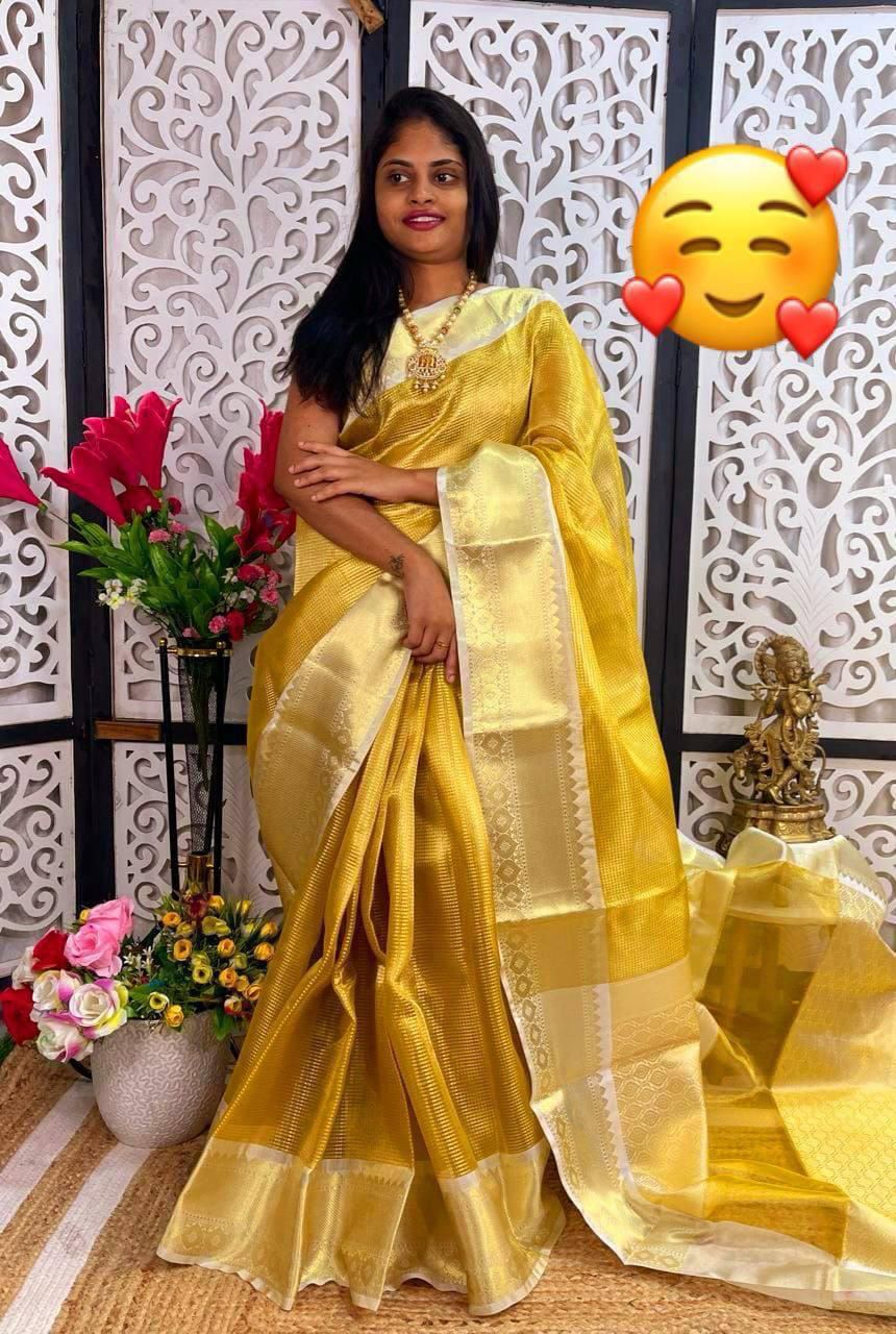 Tissue Soft Saree