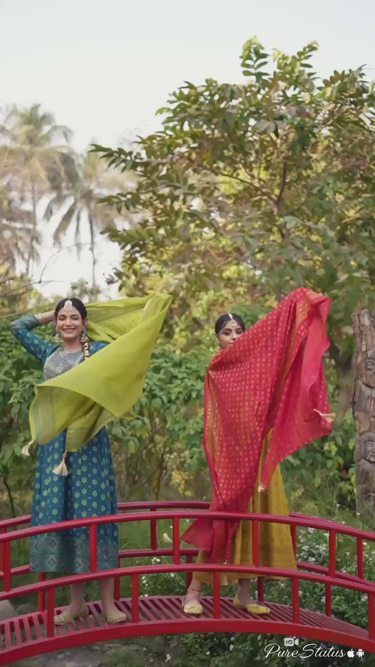 Anarkali Gown with Dupatta